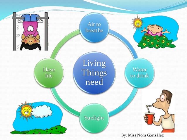 Living things around us контрольная работа. Living things картинки. Living things around us контрольная работа. Living things around us контрольная работа. Living things around us.