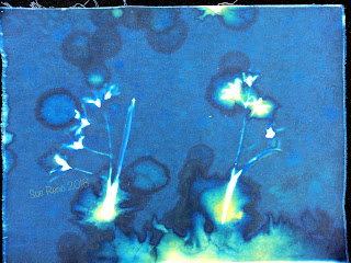 Wet Cyanotype_Sue Reno_Image 305