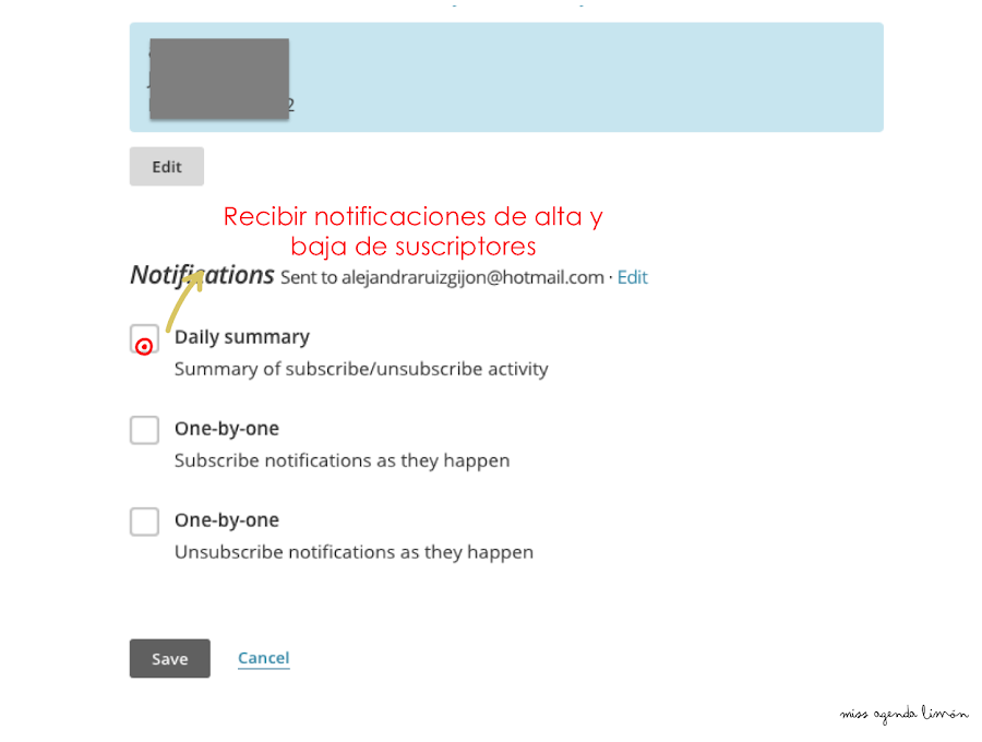 Guía Mailchimp para principiantes.