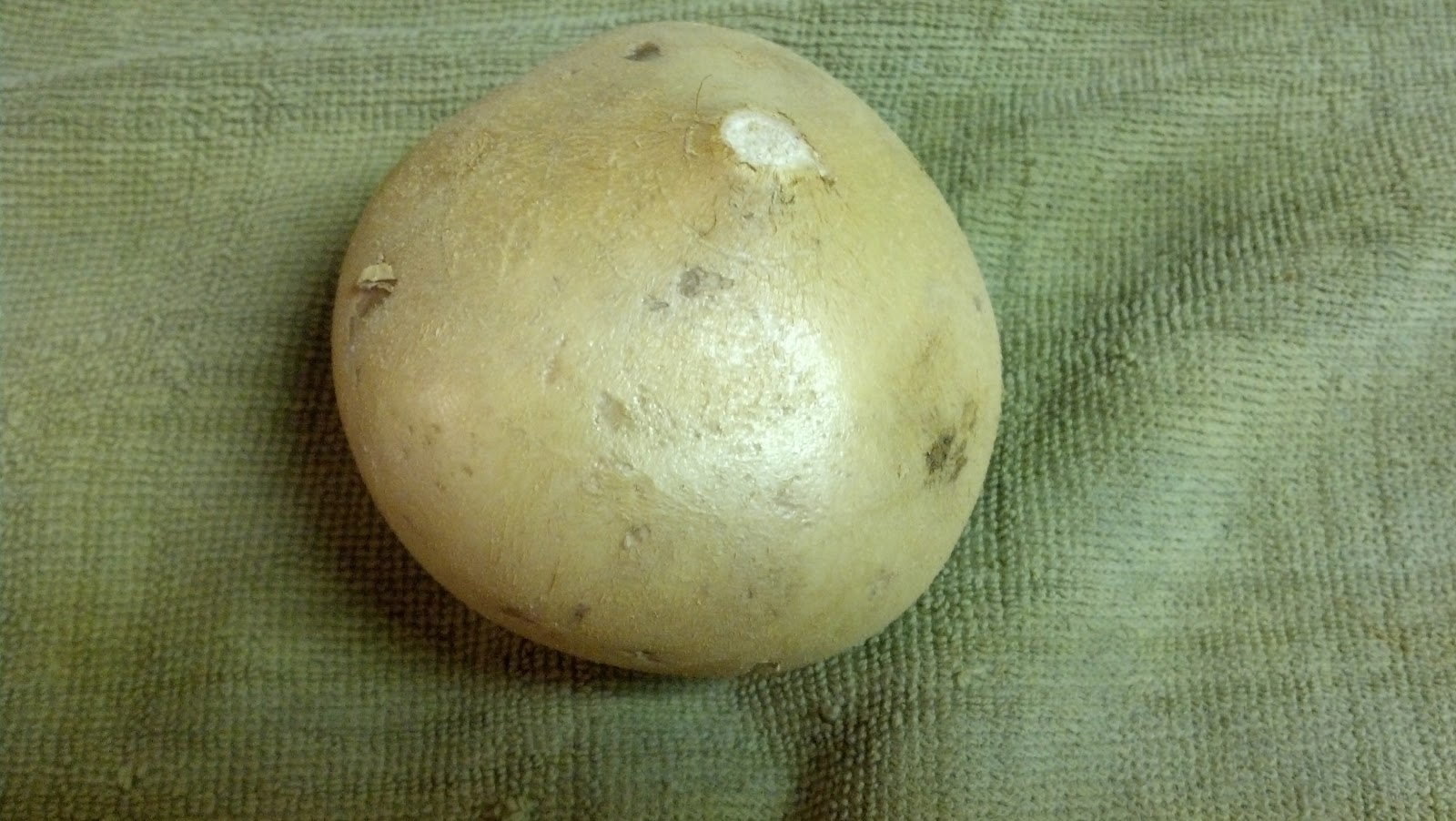 Jicama Brown Spots Inside / But it doesn't taste like one.