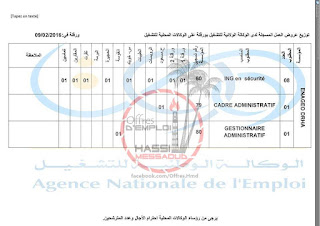   العشرات من عروض التوظيف من الوكالات المحلية للتشغيل ورقلة فيفري 2016 12717459_1213614561986853_1985674943334600046_n