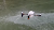 Il Drone che può rimanere nascosto in acqua per mesi | Video