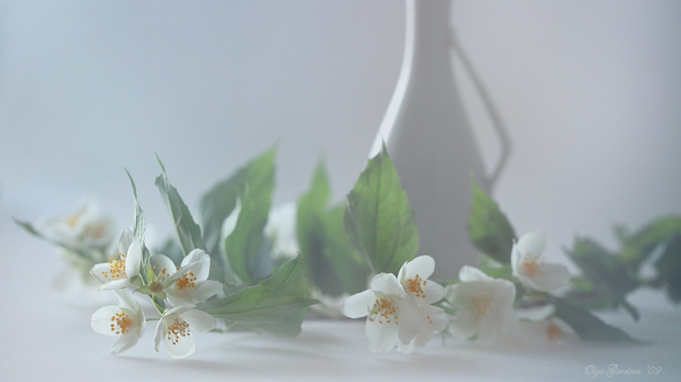 тормози feelean. белые предметы. высокий ключ натюрморт. ричард купер фотонатюрморты. 1ntrovert my faith.