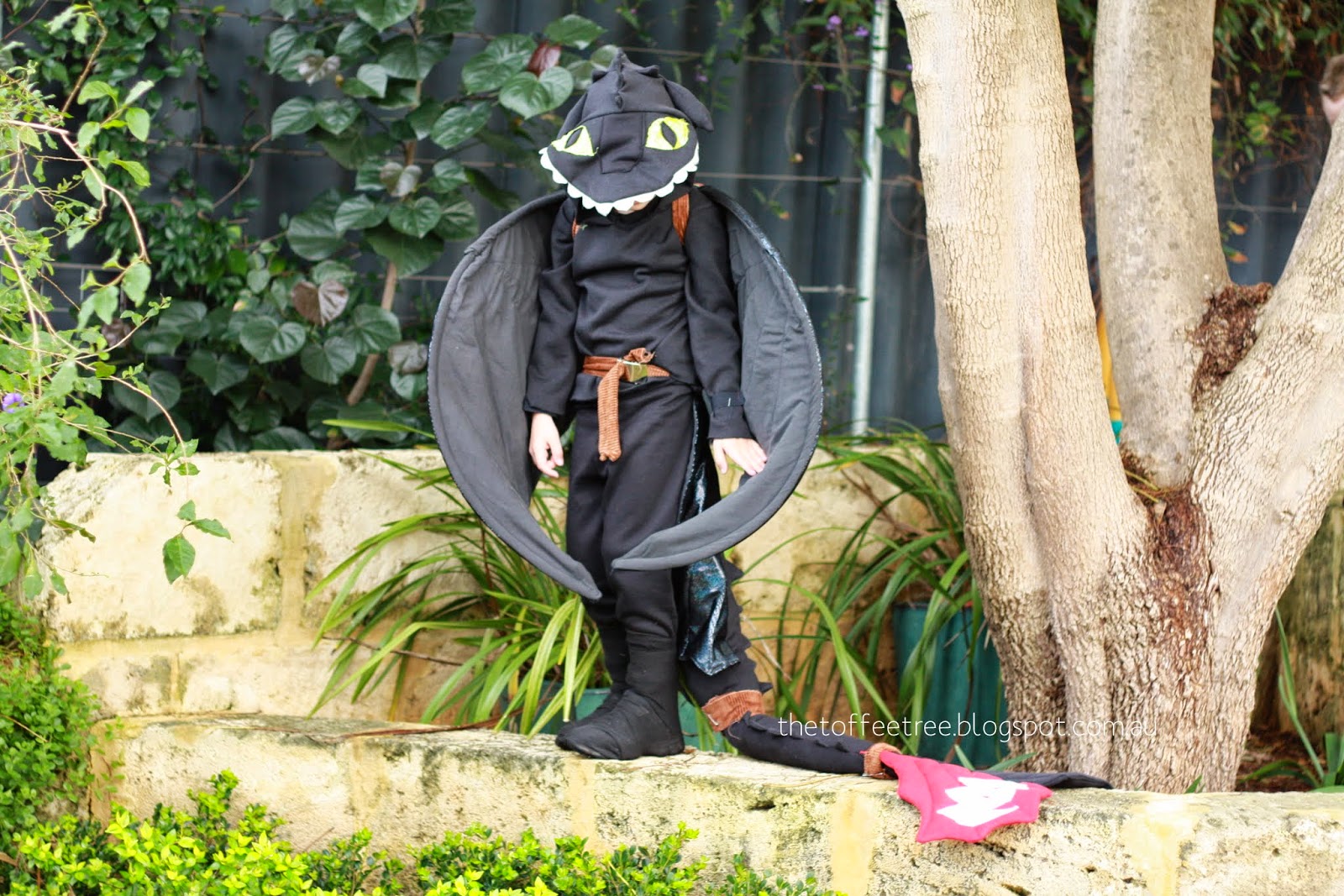{Costumes} Book Week: Toothless and Hiccup Horrendous Haddock III
