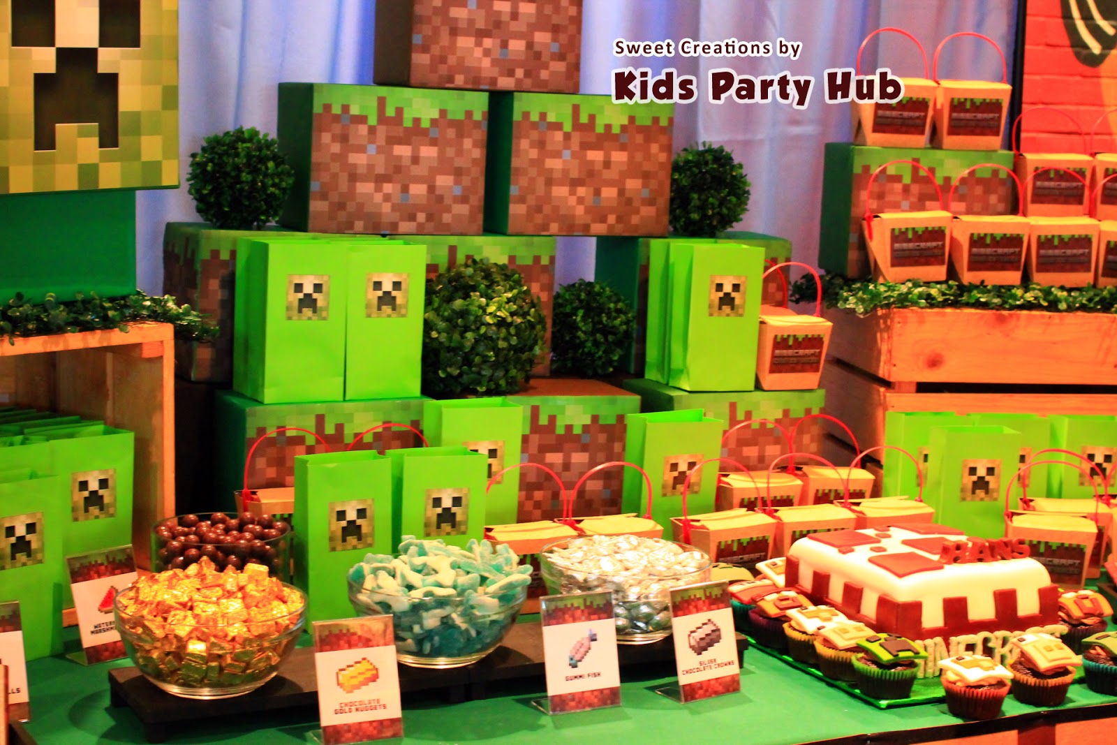 Kids Party Hub: Minecraft Party Candy Buffet