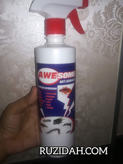 Dayana Outlet Tips Dan Cara Menghalau Semut Dengan Berkesan