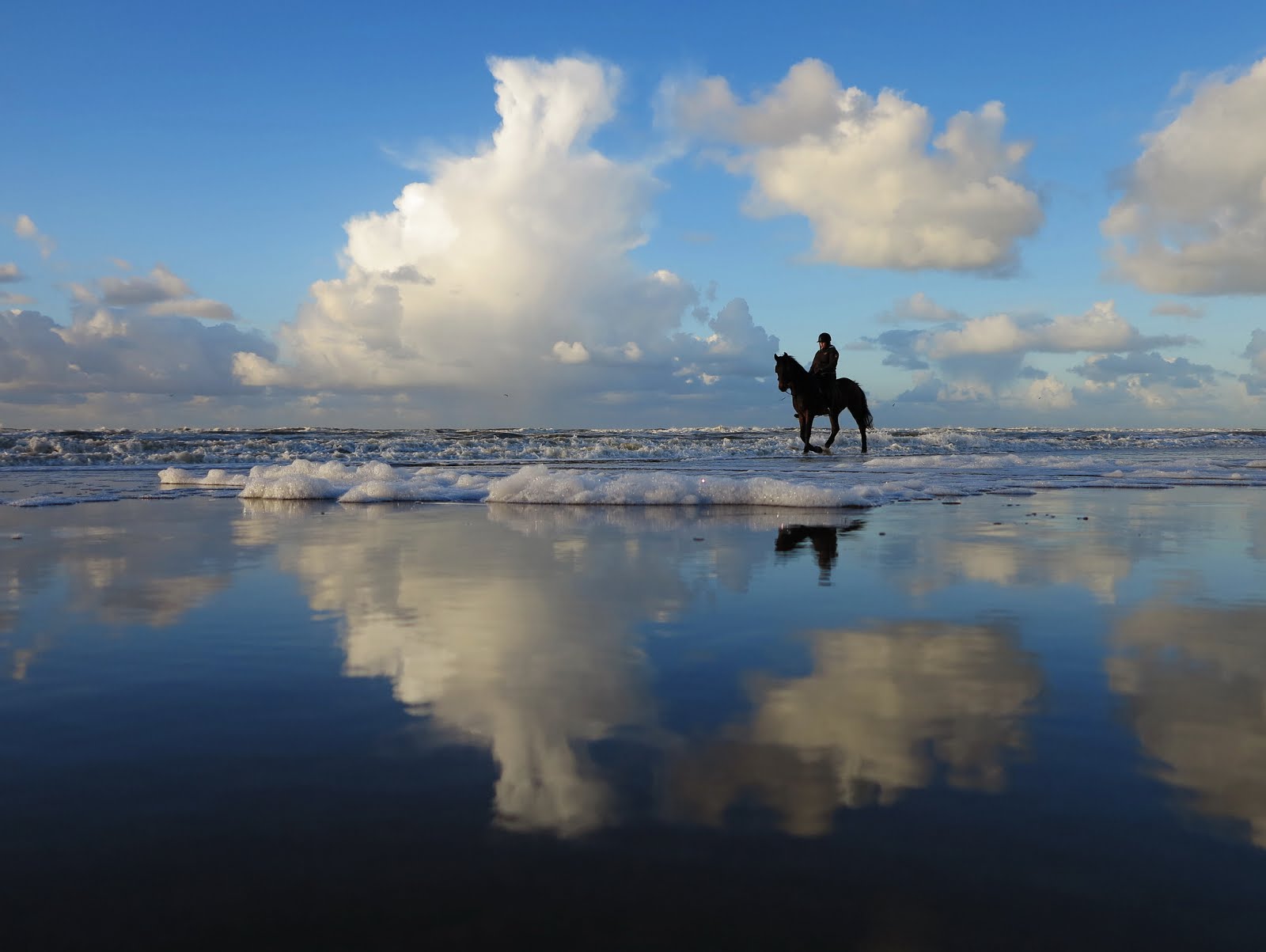 Katwijk Beach horses