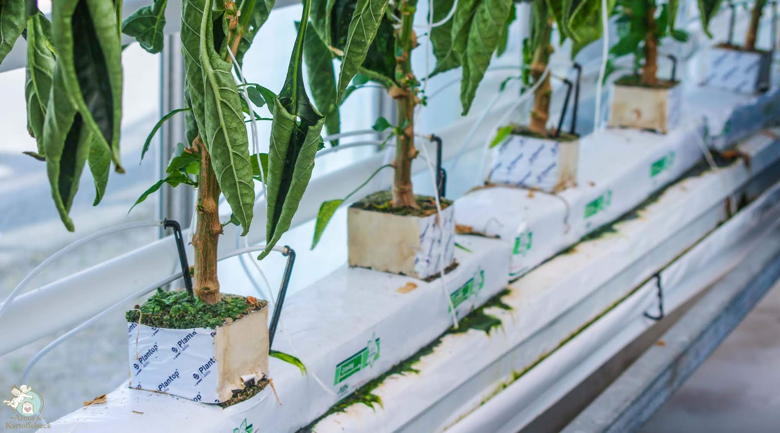 Production Association High Resolution Stock Photography And