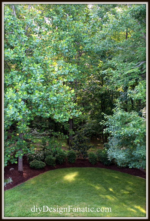 These photos are of the same spot in theack yard and show how the yard