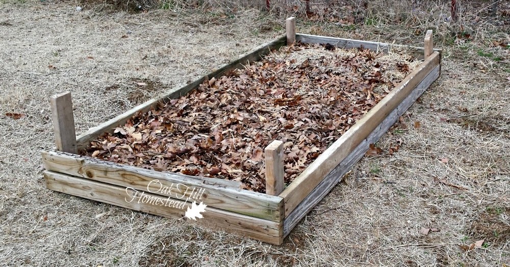 How To Build A Raised Bed Garden Oak Hill Homestead - 2 X 4 Raised Garden Bed