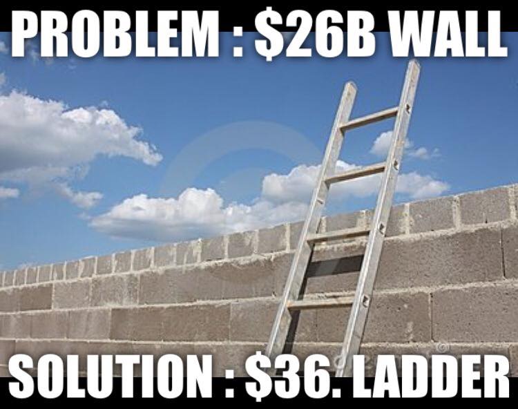 Build Border Wall Sarcastic Build Border Wall Sarcastic
