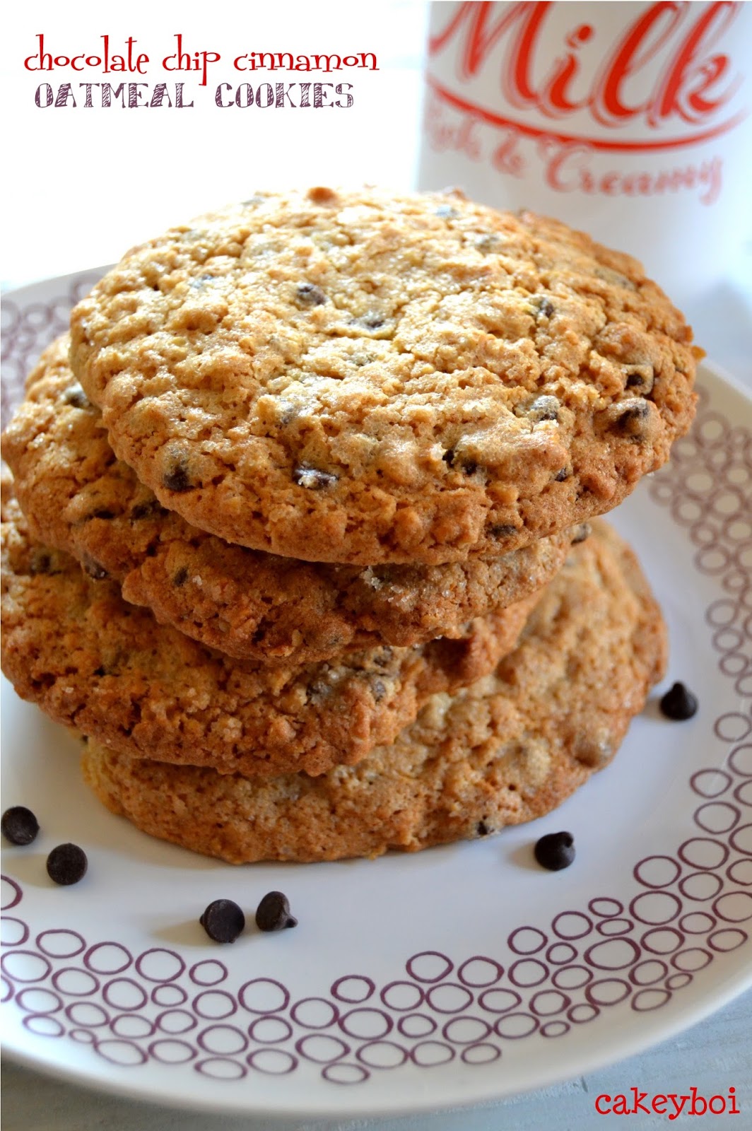 Cakeyboi Classic Chocolate Chip Cinnamon Oatmeal Cookies