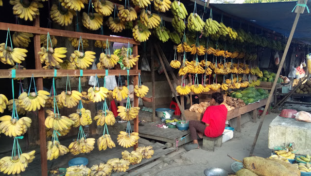 Kucing The Explorer With Hunting Pasar Balikpapan