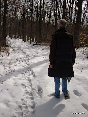 Trail in Morgan Monroe State Forest