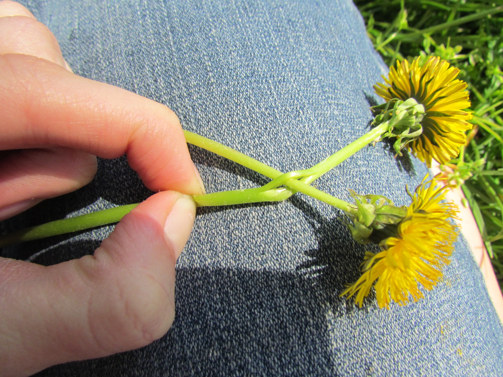 Vinyl ★ Girls How to Make a Dandelion Crown for AG's or you!