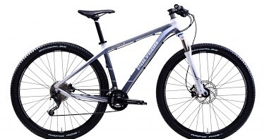 polygon cozmic cx 2.0 29er