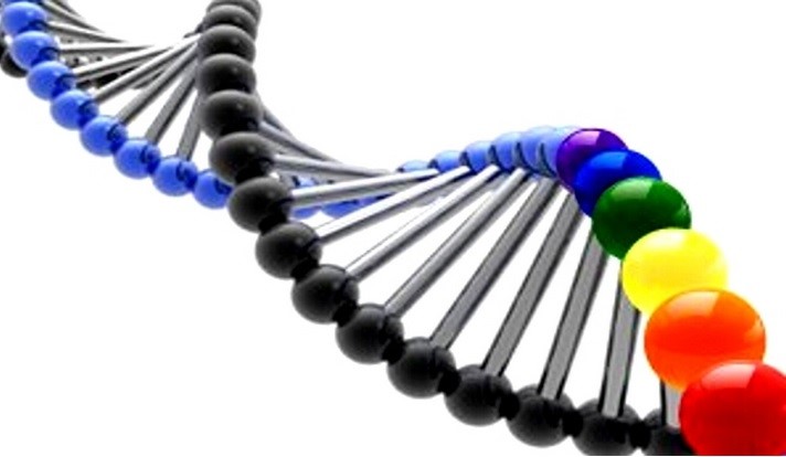 an analysis of the biological causes of homosexuality The relationship between biology and sexual orientation is a subject of research biological theories for explaining the causes of sexual orientation are favored by from a linkage analysis of a sample of 76 gay brothers and their families. an analysis of the biological causes of homosexuality The relationship between biology and sexual orientation is a subject of research biological theories for explaining the causes of sexual orientation are favored by from a linkage analysis of a sample of 76 gay brothers and their families.