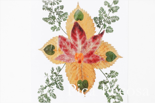como-hacer-tarjeta-con-hojas-secas-de-otoño-diy-07