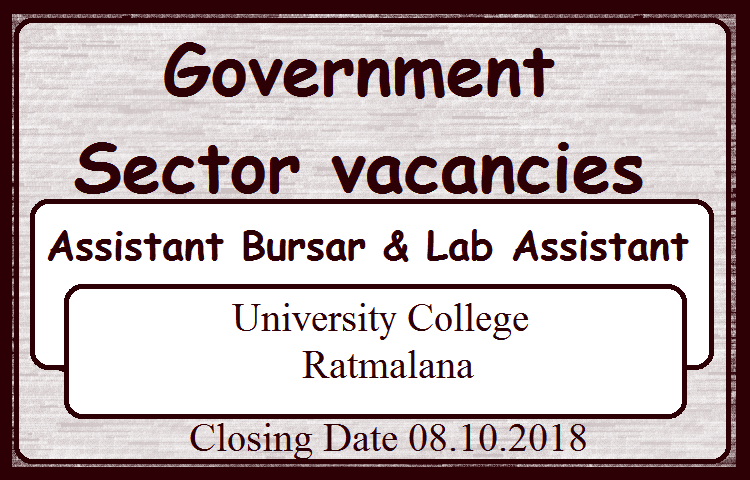 Government Sector vacancies - Assistant Bursar, Lab Assistant