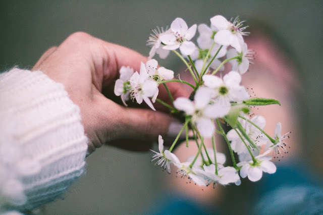 Spring Blossoms