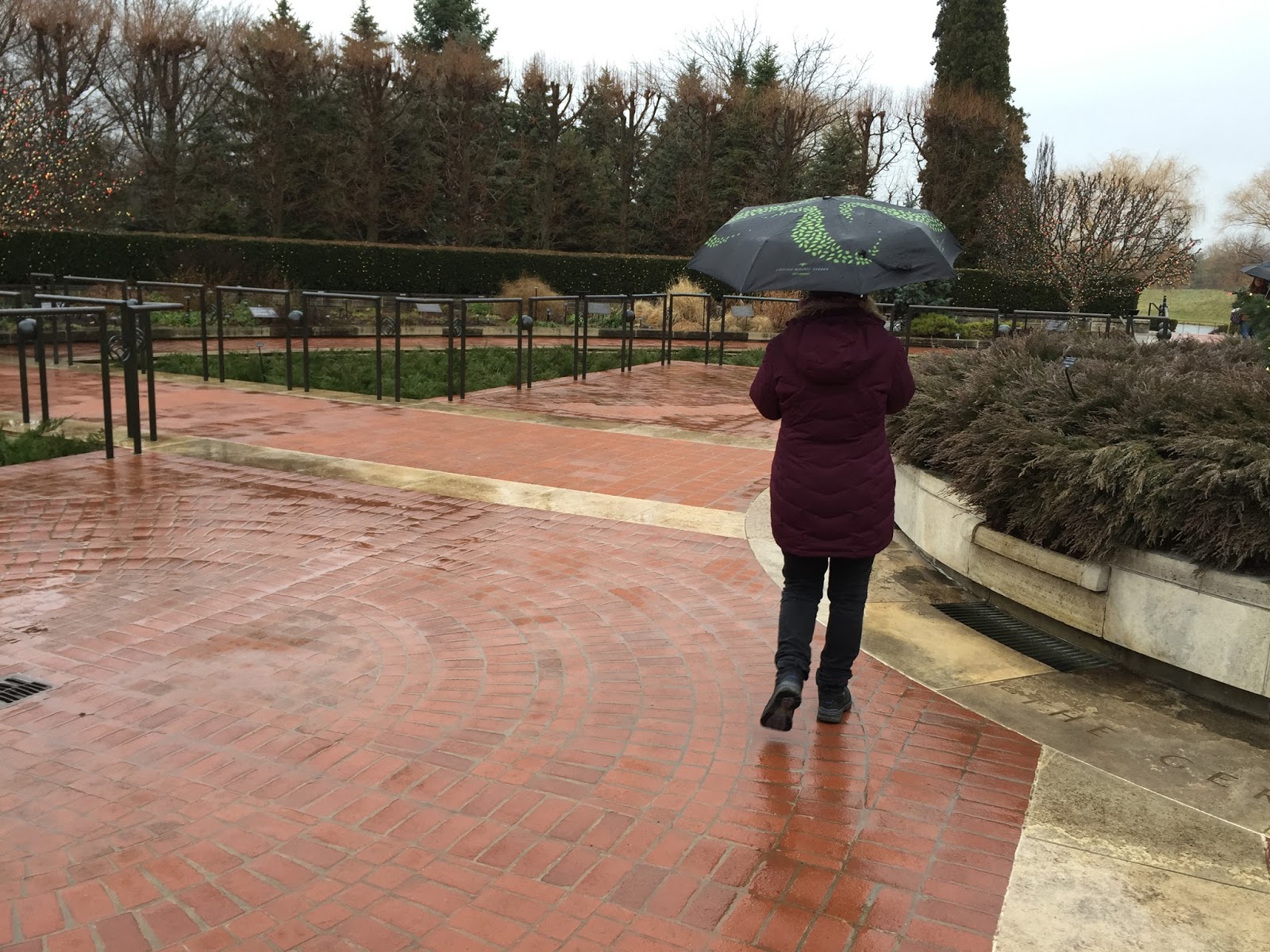 Every goddamn day 09/20/23 Rainy day at the Botanic Garden