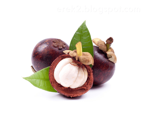 28 Arti angka togel bila mimpi makan buah buahan angkanya berapa