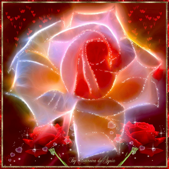 Gifs Animados Cia Linda Rosa