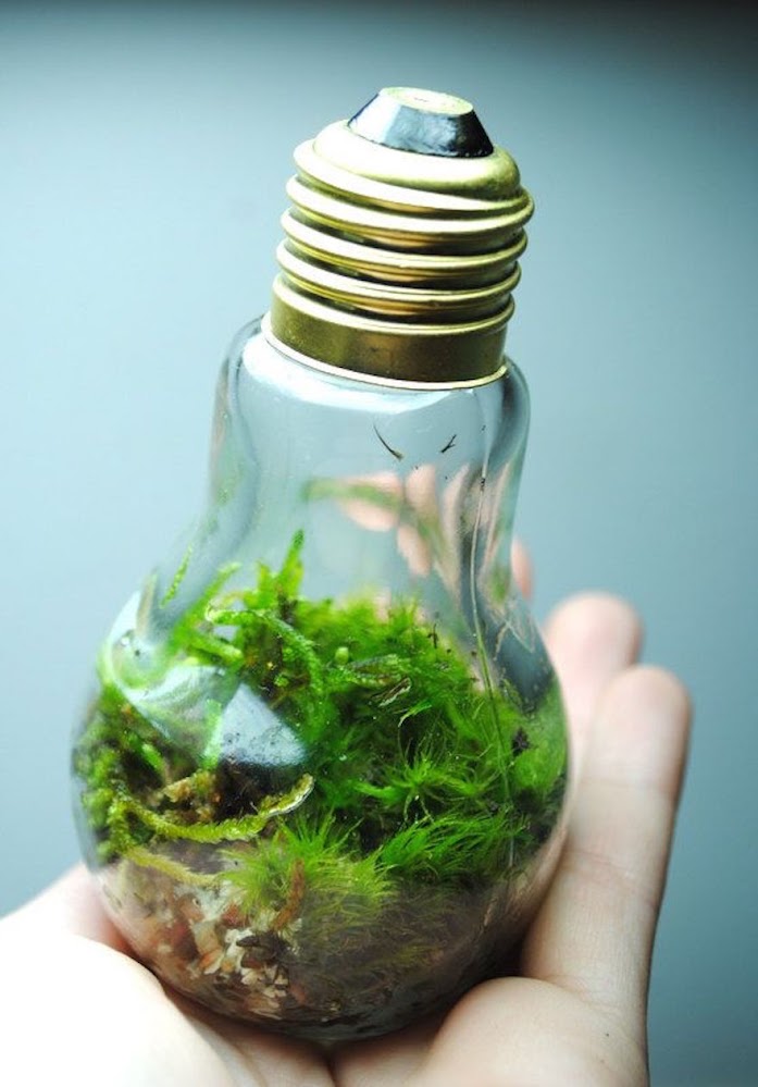 ideas-for-recycling-light-bulbs