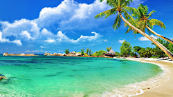 tropical beach palm flowers wallpapers beaches scenery desktop backgrounds background pretty hawaii computer island summer night ocean