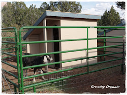 winter water growing organic beats investments homesteaders buckets stalls put electric