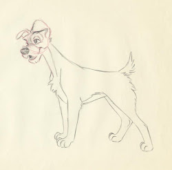 disney drawings drawing tramp lady draw sketches character cartoon animation dog sketch references pencil past creative animal easy animals walt