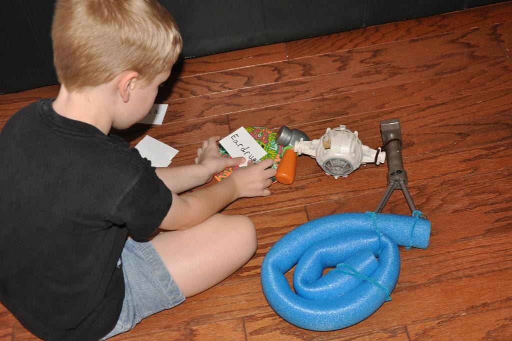 Savor The Days: Model of the Ear, Homeschool Style