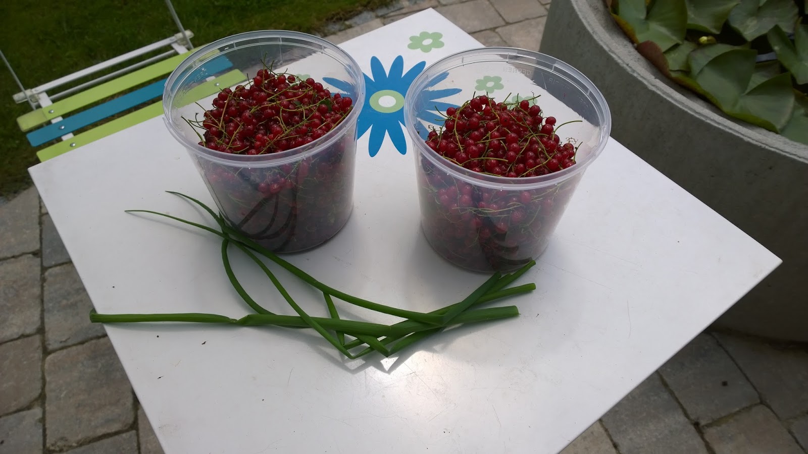 Prinzessin Knallt Dir Eine Spruch Spruche Frau Frauen T Shirt