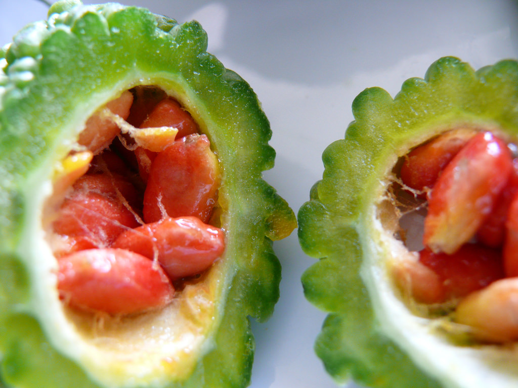 Melón amargo Ampalaya Fúkôa Karela Ampalaya Karela Melón Amargo Fú
