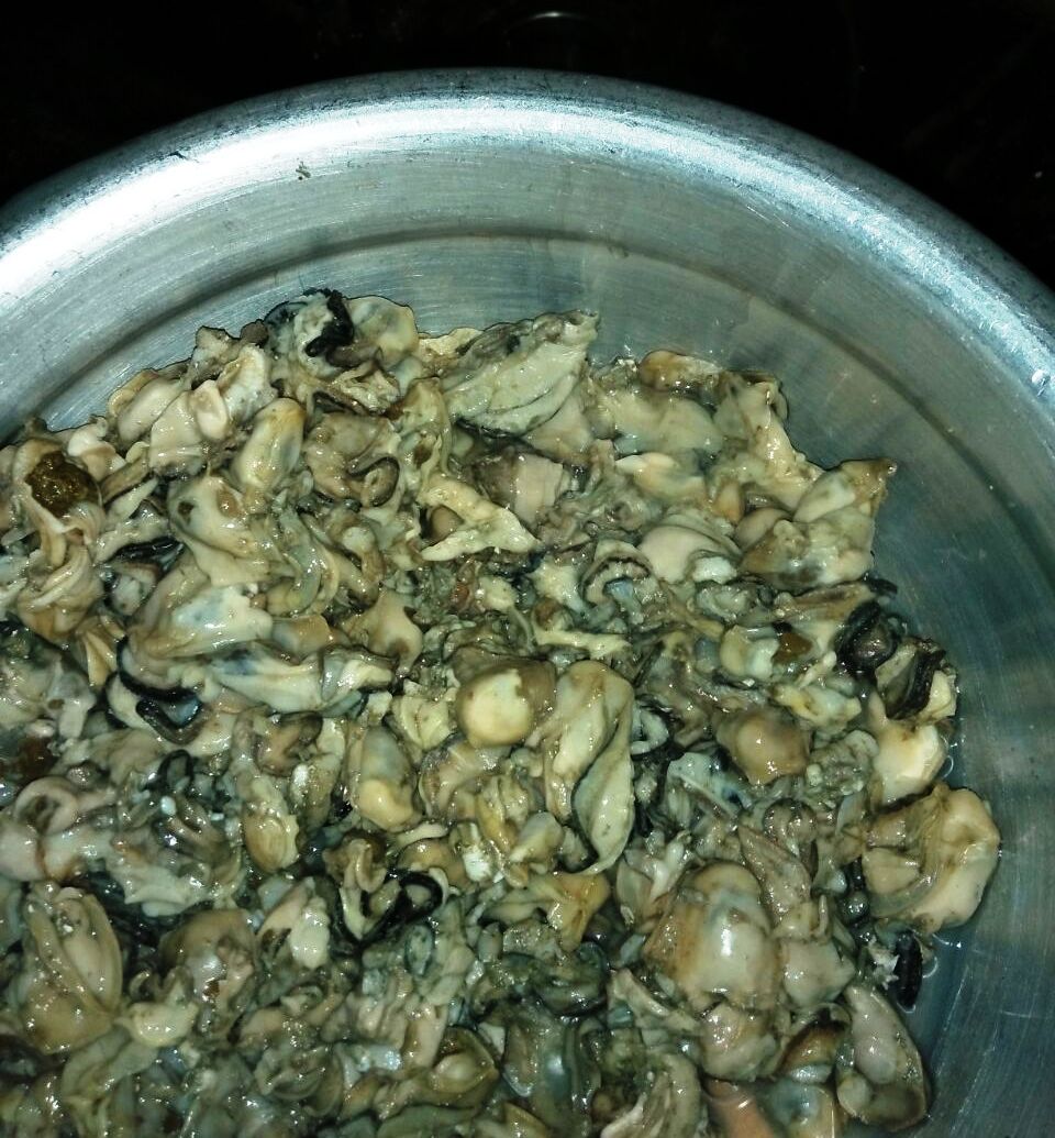 The Oyster Land Journey An evening with Ajith Dinner Thoughts Food