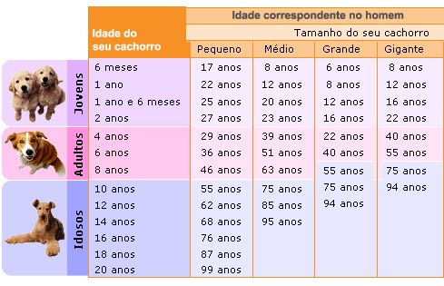 Com quantos anos o cachorro é adulto Outlet