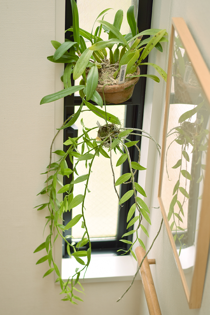 Reda Tomingas Visiting