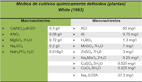 ḼїδβӚϯЧ ᴙ ⱥ ¶ ¶ ¶ ¶ MEDIOS DE CULTIVOS QUÍMICAMENTE DEFINIDOS (PLANTAS)