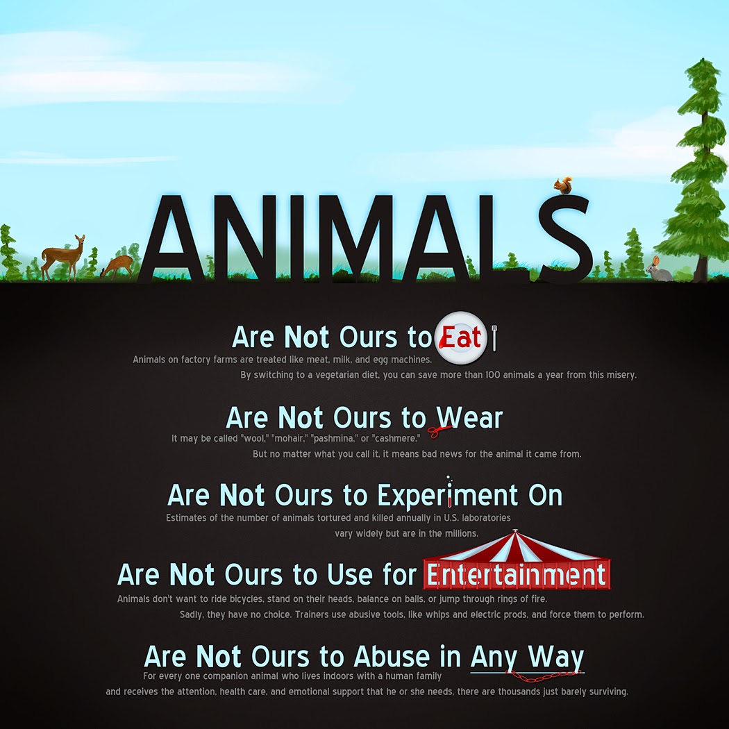 Animals are not Ours...