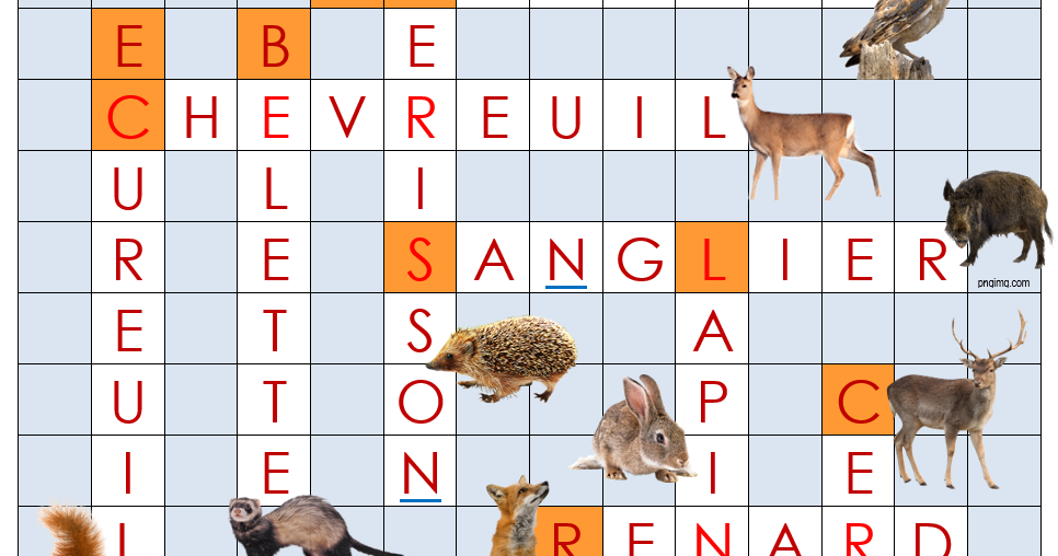 A De La Suite Dans Les Idees Mots Croises