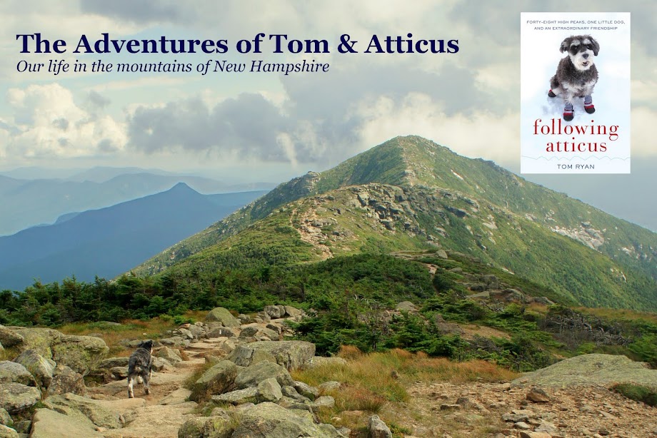 The Adventures of Tom & Atticus