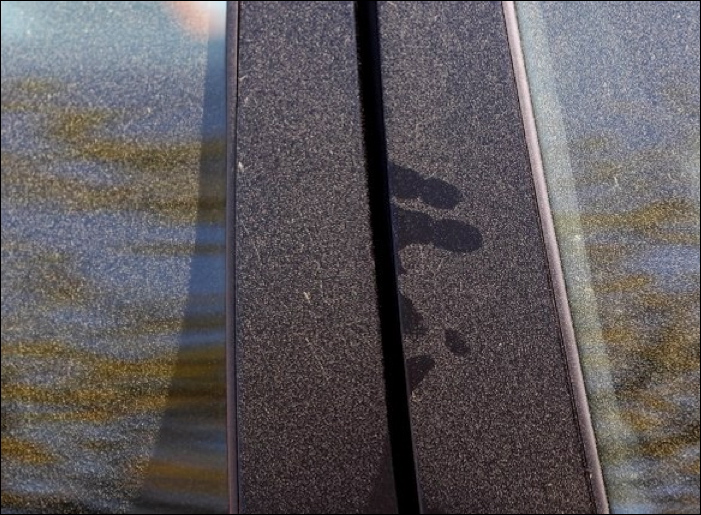 RobinsonSolutions Professional Window Cleaning Record Pollen Counts