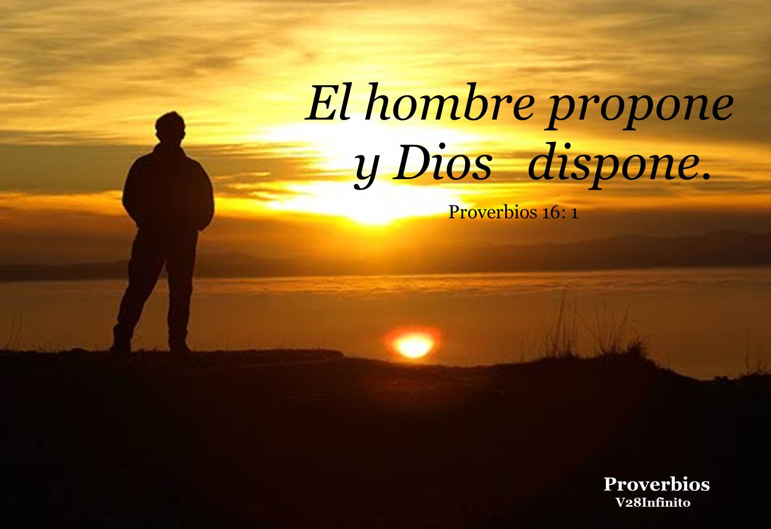 Ver las imágenes de origen