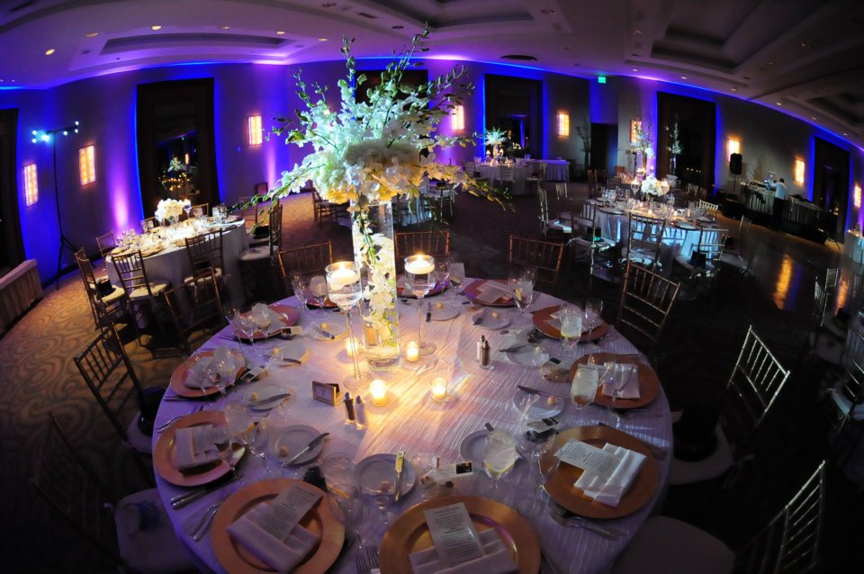 Petals Inc, [ Weddings, Flowers & More ] Florist in Peabody, MA New