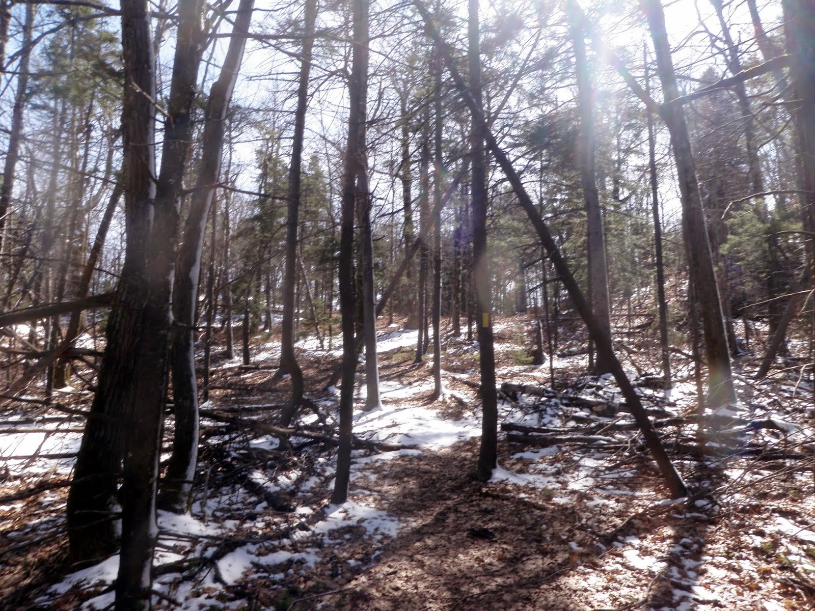 An Idiots Guide to Peakpagging and Hiking in New England The Pinnacle