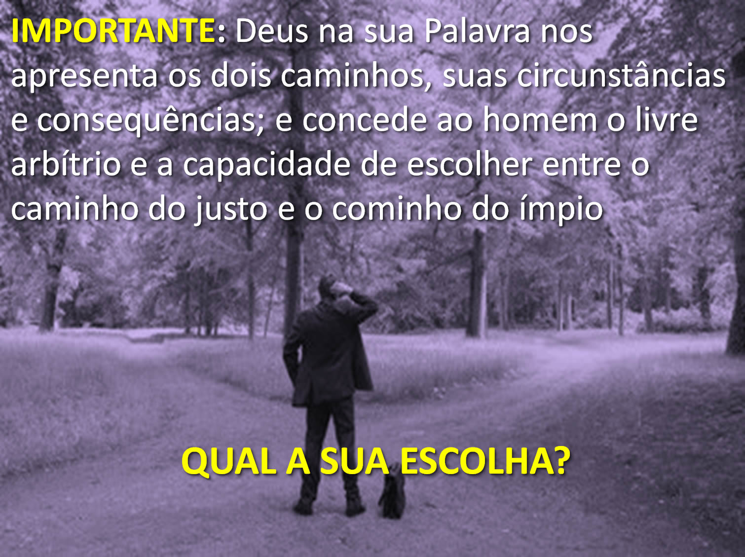PREGUE A PALAVRA O CAMINHO DOS JUSTOS E O CAMINHO DOS IMPIOS. PREGUE A PALAVRA O CAMINHO DOS JUSTOS E O CAMINHO DOS IMPIOS.
