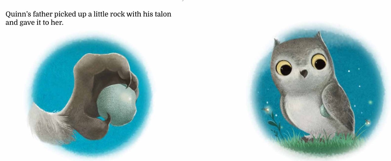 STORYWRAPS "Quinn's Promise Rock" a bookwrap