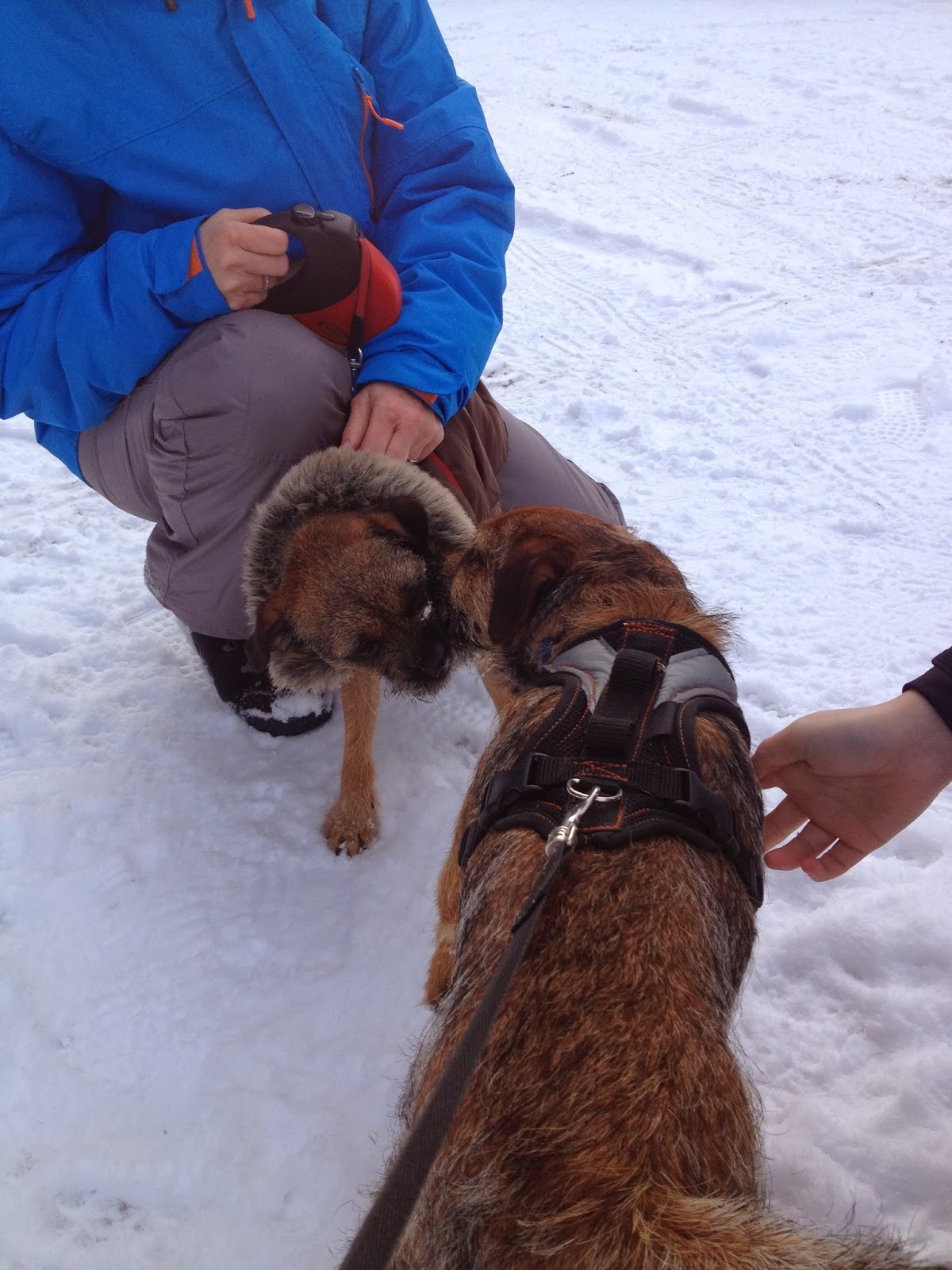 Schulz Von Thun Kommunikationsmodell