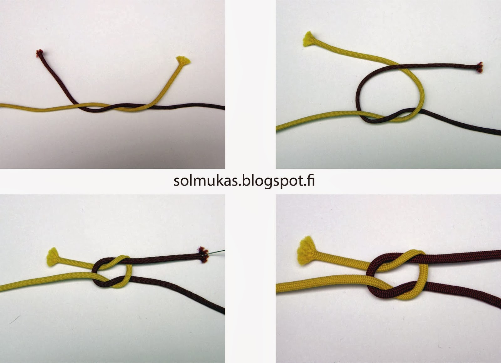 Solmukas Merimiessolmu ja sen sukulaiset