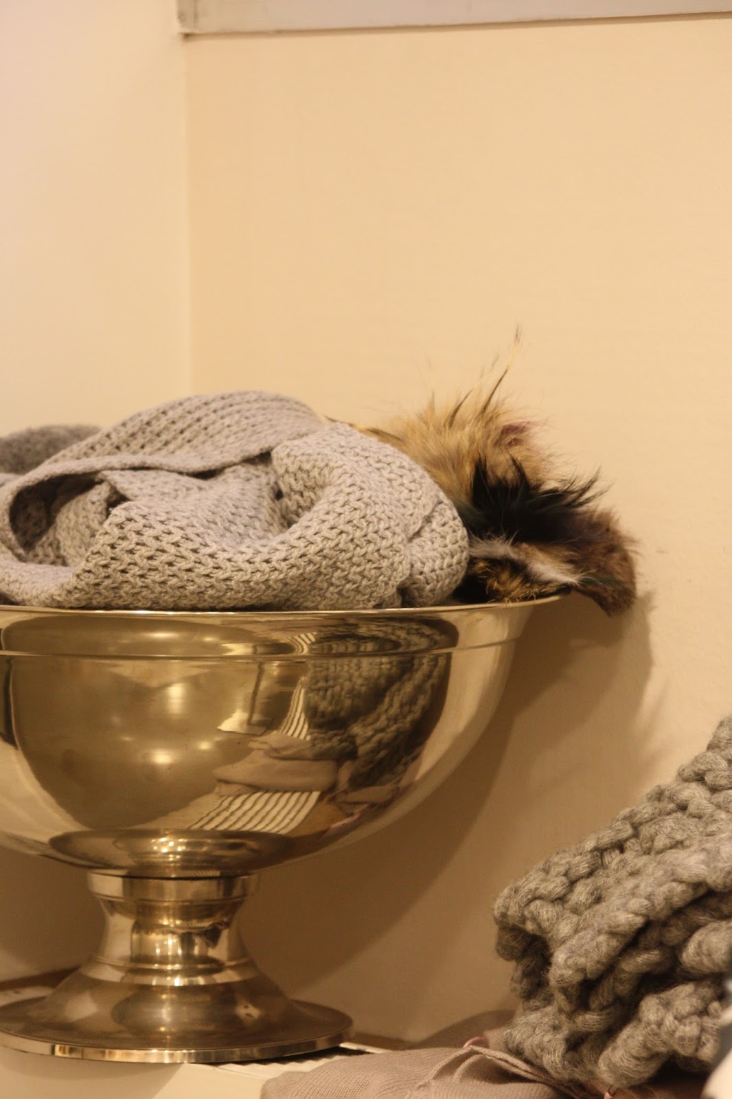 Das kleine weisse Haus